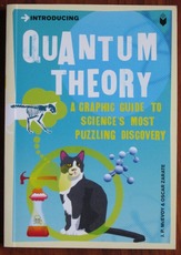 Introducing Quantum Theory: A Graphic Guide
