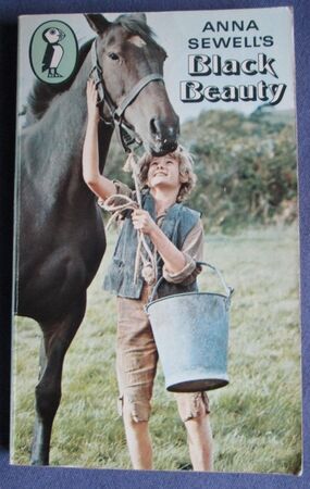 Anna Sewell’s Black Beauty
 Image