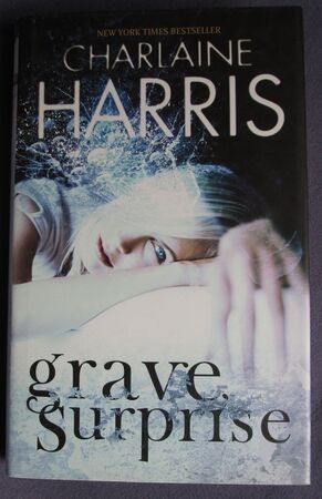 Grave Surprise
 Image