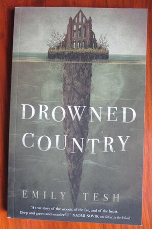 Drowned Country
 Image