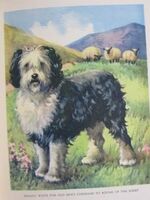 Farmyard Friends
 Additional Image