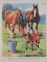 Farmyard Friends
 Additional Image