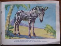 Baby Animals in the Zoo
 Additional Image