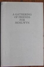A Gathering of Friends For Moelwyn

