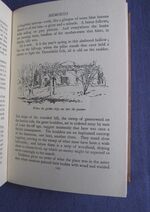 The Striding Dales
 Additional Image