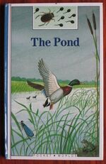 The Pond
