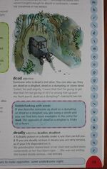 Oxford Roald Dahl Dictionary: From aardvark to zozimus, a real dictionary of everyday and extra-usual words
 Additional Image