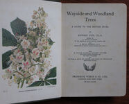 Wayside and Woodland Trees Pocket Guide to the British Sylva
 Additional Image