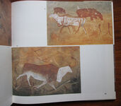 Major Rock Paintings of Southern Africa: Facsimile Reproductions
 Additional Image