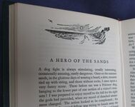 Tales of Moorland and Estuary
 Additional Image