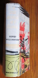 A Fox Under My Cloak
 Additional Image