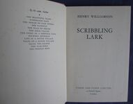 Scribbling Lark
 Additional Image