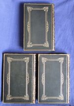 Elizabeth Barrett Browning's Poetical Works
 Additional Image