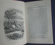 The Spendthrift: A Tale
 Additional Image