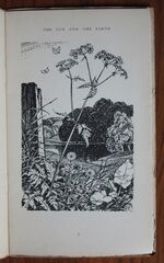 The Sun And The Earth: Selected Passages from The Works of Richard Jefferies - Lute, Lyre And Lotus Minithologies 30
 Additional Image