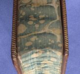 Lord Macaulay's Essays and Lays of Ancient Rome
 Additional Image