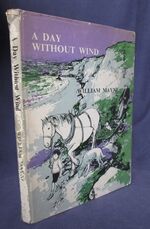 A Day Without Wind
 Additional Image