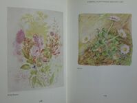 The Art of Beatrix Potter
 Additional Image