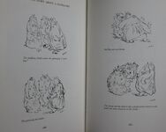 The Art of Beatrix Potter
 Additional Image