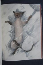 Snow-Cat
 Additional Image