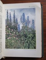 Gardens Shown to the Children
 Additional Image