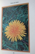 Under The Acorns: A Selection of Nature Essays
 Additional Image