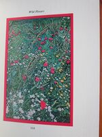 Under The Acorns: A Selection of Nature Essays
 Additional Image