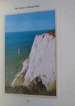 Under The Acorns: A Selection of Nature Essays
 Additional Image