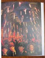 Harry Potter: A Magical Year
 Additional Image