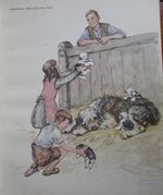 Bob-Tail Pup
 Additional Image