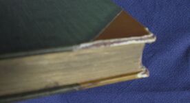 The Poetical Works of Percy Bysshe Shelley
 Additional Image