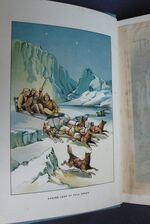 The World of Ice or The Whaling Cruise of the Dolphin and the Adventures of her Crew in the Polar Regions
 Additional Image