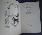 Pax The Adventurous Horse
 Additional Image