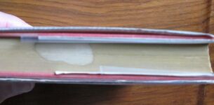 The Best Times : An Informal Memoir
 Additional Image