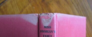 Miss Finnigan's Fault
 Additional Image