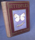 Butterflies and Moths Shown to the Children
 Additional Image