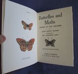 Butterflies and Moths Shown to the Children
 Additional Image