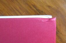 Gadfly in Russia
 Additional Image