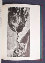 Life of Michelangelo Buonarroti
 Additional Image