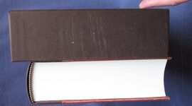 Lost Illusions
 Additional Image