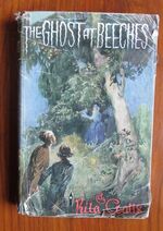 The Ghost at Beeches
