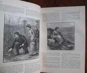 The Quiver: An Illustrated Magazine for Sunday and General Reading Volumes XVI, XVII, XVIII, XX
 Additional Image