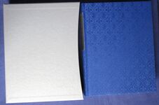 The Rise and Fall of the House of Medici
 Additional Image