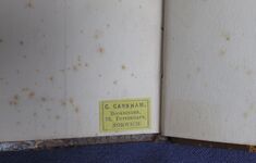 Courage
 Additional Image