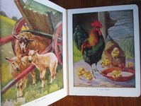 Favourite Animals
 Additional Image