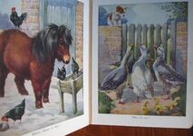 Favourite Animals
 Additional Image