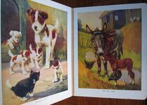 Favourite Animals
 Additional Image