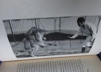 Circus: Men, Beasts, and Joys of the Road
 Additional Image