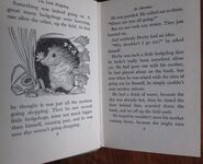 The Little Hedgehog
 Additional Image