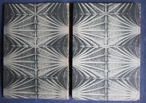 Medieval Carvings in Exeter Cathedral
 Additional Image